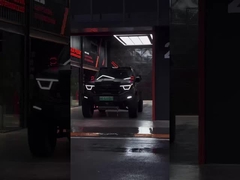 385Nm 185KW 252Ps 4WD 5 صندلی 5 درب 2.0T مخزن 400 SUV بنزین سوخت ماشین جدید